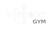میرر جیم | mirror gym